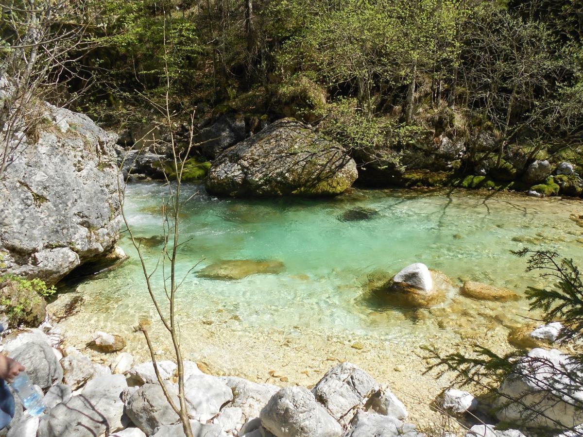 Cottage Trenta Bovec Dış mekan fotoğraf