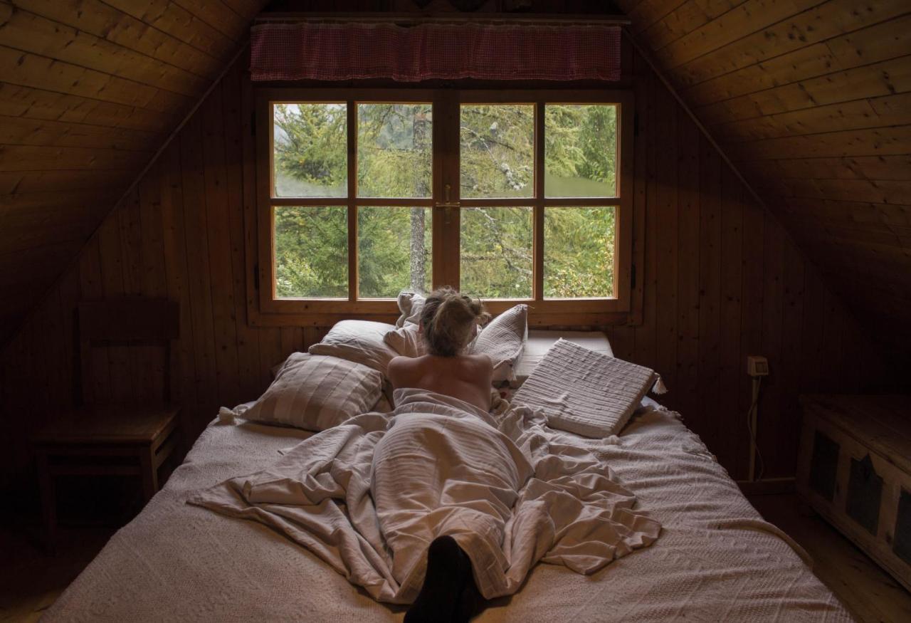 Cottage Trenta Bovec Dış mekan fotoğraf